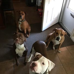 Meet your Posher, Melissa